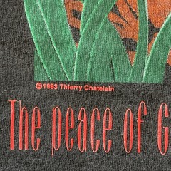 Vintage 1993 Tiger Parrot Nature Jesus T Shirt Therry Chatelian Phil. 4:7 XL