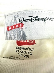 Disney Blizzard Beach 2008 Size XL Graphic Tee With Mickey Donald and Goofy