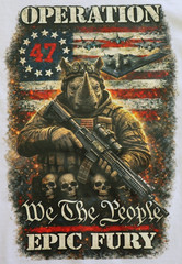 Operation Epic Fury US Flag Stars Stripes Rhino Skulls America Print T-Shirt WAR