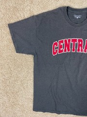 Champion Casual Basic T-Shirt Mens XL Crew Neck Central Spell Out Graphic Gray