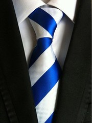 Men’s Blue White Striped Jacquard Woven Silk Tie Formal Necktie LUD35