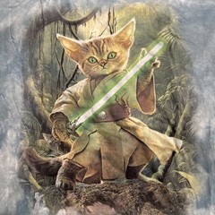 The Mountain Star Wars Theme Yoda Cat, Different Colors, Brand New, Men’s Sizes
