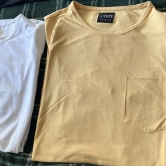 Cuts T-Shirt Lot Multicolor Curve-Hem & Split-Hem XL/L Sizes