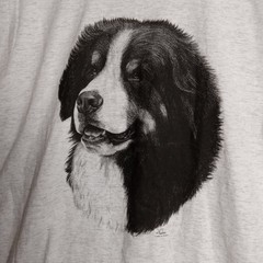 Oneita Power 50 Plus Vintage Single T-Shirt Stitch Vladimir Large Heather Gray