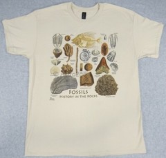FOSSILS-HISTORY IN THE ROCKS-Trilobite Ammonite Fern Paleontology T shirt S-2XL