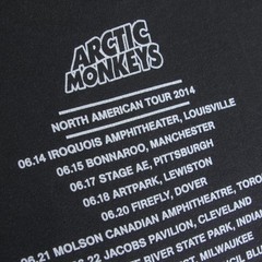 Arctic Monkeys T Shirt L VTG 2014 AM Album Tour Concert Merch DO I WANNA KNOW