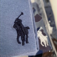 Polo Ralph Lauren Classic Fit Tees T-shirts Crew or V-neck S M L Blue Tones