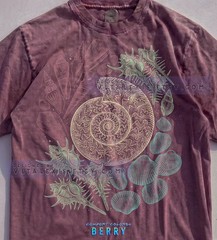 Vintage Seashell Ammonite Marine Life Comfort Tee
