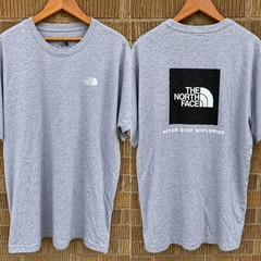 The North Face Mens XL Evolution Box NSE Short Slv Tee T-shirt Pale Grey Heather