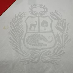 Token Soccer FPF Peru Hernandez #13 Jersey Men One Size Graphic Logo.#31714