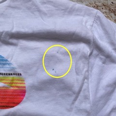 Costa Del Mar Men’s T-Shirt Short Sleeves In White Size M