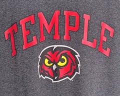 Champion Temple University Owls Mens Large Vintage Gray Hooter Mascot T Shirt