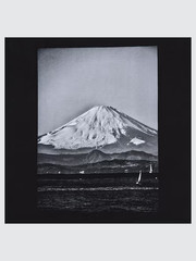UNIQLO PEACE FOR ALL T-shirt / Daido Moriyama XS-4XL Unisex 471330 Japan NWT