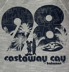 (2X) DISNEY Bahama Castaway Cay LONG SLEEVE Shirt Hooded DISNEY CRUISE Tee NWOT