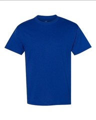 Hanes 5170 5XL EcoSmart Crewneck Short Sleeve Tee Pit to Pit 31″ Deep Royal