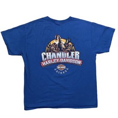 Vintage 2012 Harley Davidson Chandler Arizona Large Skater Baggy Y2K