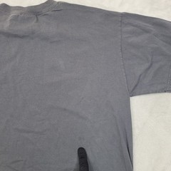 Hybrid Tees Shirt Mens Large Gray Bird Graphic Nature Wildlife Blue Black Tee