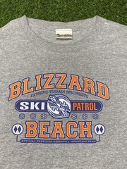 Disney Blizzard Beach L/S Shirt Men’s Resort Waterpark Size L Gray Walt World