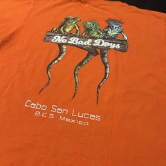 Vintage Graphic T-Shirt Iguanas Double Sided Men’s Large Heavyweight Cotton