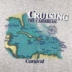 Carnival Shirt Mens XL Gray Graphic TeeCruising The Caribbean *