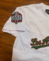 Los Angeles Dodgers MEXICO WEST COAST “Viva Mexico Cabrones” Jersey 20# READ