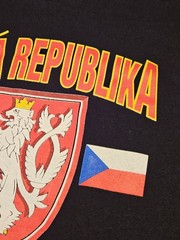 Vtg 90s Lee Total Cotton Czech Republic T-Shirt L Made in USA Excellent