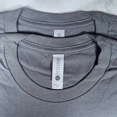 Lot of 2 Next Level Unisex Premium Dark Gray TShirts Plain Super Soft US Size XS