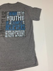 Belmont MEns Shirt Small Gray mountain graphic youth