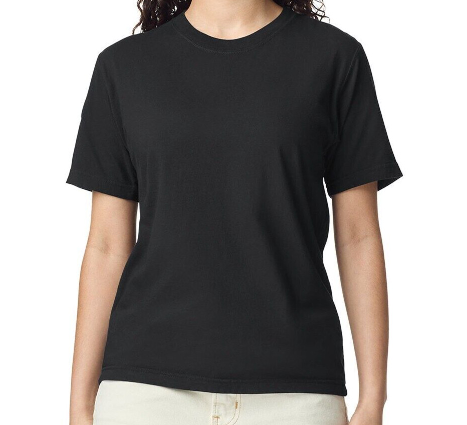 Comfort Colors 1717 Blank T-Shirt | Soft-Washd Unisex Tee | Premium Vintage Look