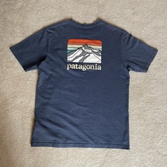 Patagonia Mens Blue Graphic T-Shirt Summer Casual Outdoors Tee | Size: M