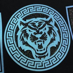 New Fashion Trend Tiger Hot Diamonds Rhinestone Summer Luxury Men Cotton T-Shirt