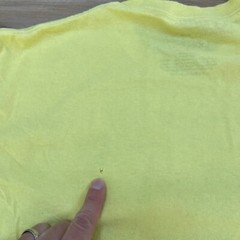 The Lion King Shirt Mens Medium Yellow Disney Simba Short Sleeve Crewneck Tee