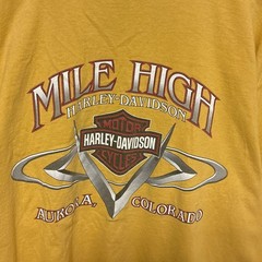 【HARLEY-DAVIDSON】00s Ringer T-shirt 両面ロゴ 星条旗 リンガーTシャツ S-5950