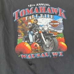 Harley Davidson Wausau Wisconsin Annual Fall Ride T Shirt L As Pictured Hole!!