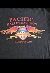 VINTAGE 2000s Harley Davidson XL tribal eagles t shirt Longsleeve