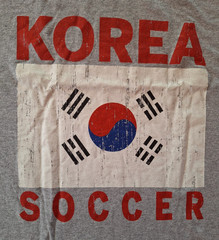 South Korea Pride Flag & Soccer Vintage Style Souvenir Gift T-Shirt