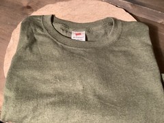 Hanes Mens ECOSMART T-Shirt POLY Cotton GREEN T Shirt Plain Tee Top 3X NEW