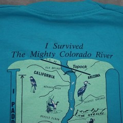 Vintage 90s Jerkwater Canoe Co T-Shirt XL Cyan Screen Stars Graphic Tee USA