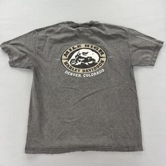 Harley-Davidson Shirt Mens Large Gray Eagle Legendary Trademark Biker 2007 Tee
