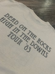 Grateful Dead Dead on the Rocks High in the Downs Colorado T-Shirt Mens L 1983