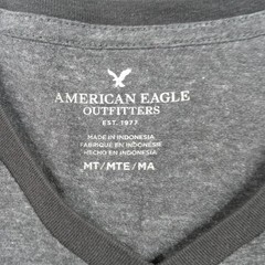 American Eagle Outfitters Shirt Mens Medium Tall V Neck Logo Soft Stretch AEO
