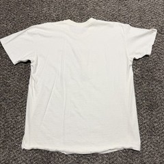 Vintage Arizona T-shirt Size XL White Stedman 90s Dry Heat – Distressed