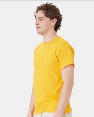 Hanes 5170 5XL EcoSmart Crewneck Short Sleeve Tee Pit to Pit 31″ Unisex Gold