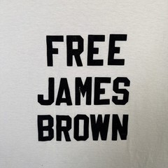 Vintage James Brown Shirt Mens XL White 90s Free Funny Parody Quote Jail Rare