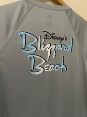 Disney Blizzard Beach Sports Activewear Gym T-Shirt S Grey Logos Good Condition