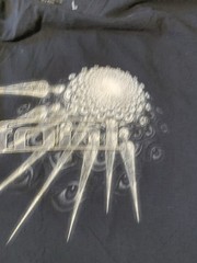 tool t shirt size large los angeles california