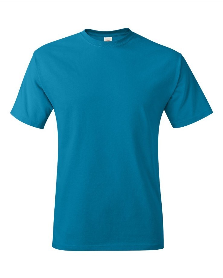 Hanes 5250 4XL 5XL Authentic Short Sleeve Men’s Cotton T-Shirt Teal