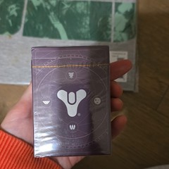 Officially Licensed Destiny T-Shirt Gray M Destiny 2: Forsaken playing cards