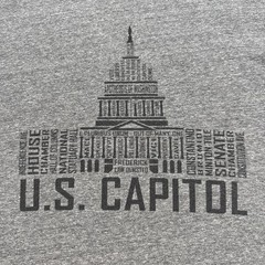 Vintage Washington DC United States Capitol Ringer Shirt Gray Rare Made In USA