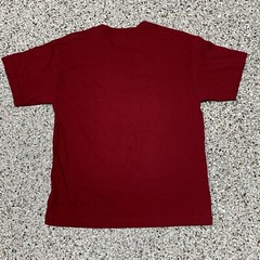Washington Redskins NFL Graphic Tee T-shirt Helmet Team Apparel Official NWT M
